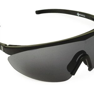 Gafas de protección solar EVASOL